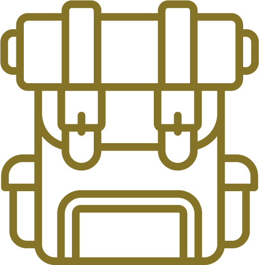 Leadership development programs for students and emerging professionals