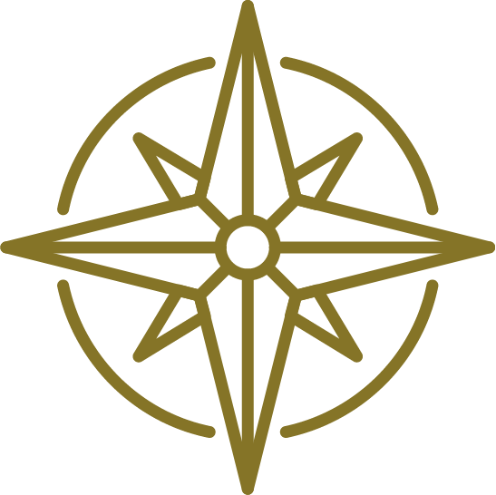 Leadership coaching for organizations and teams