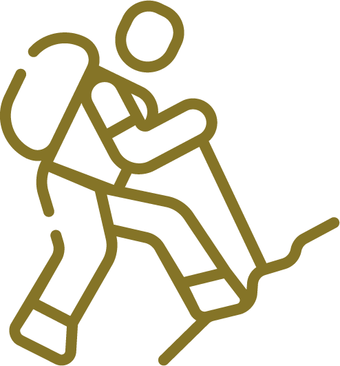 Executive coaching and leadership development for professionals