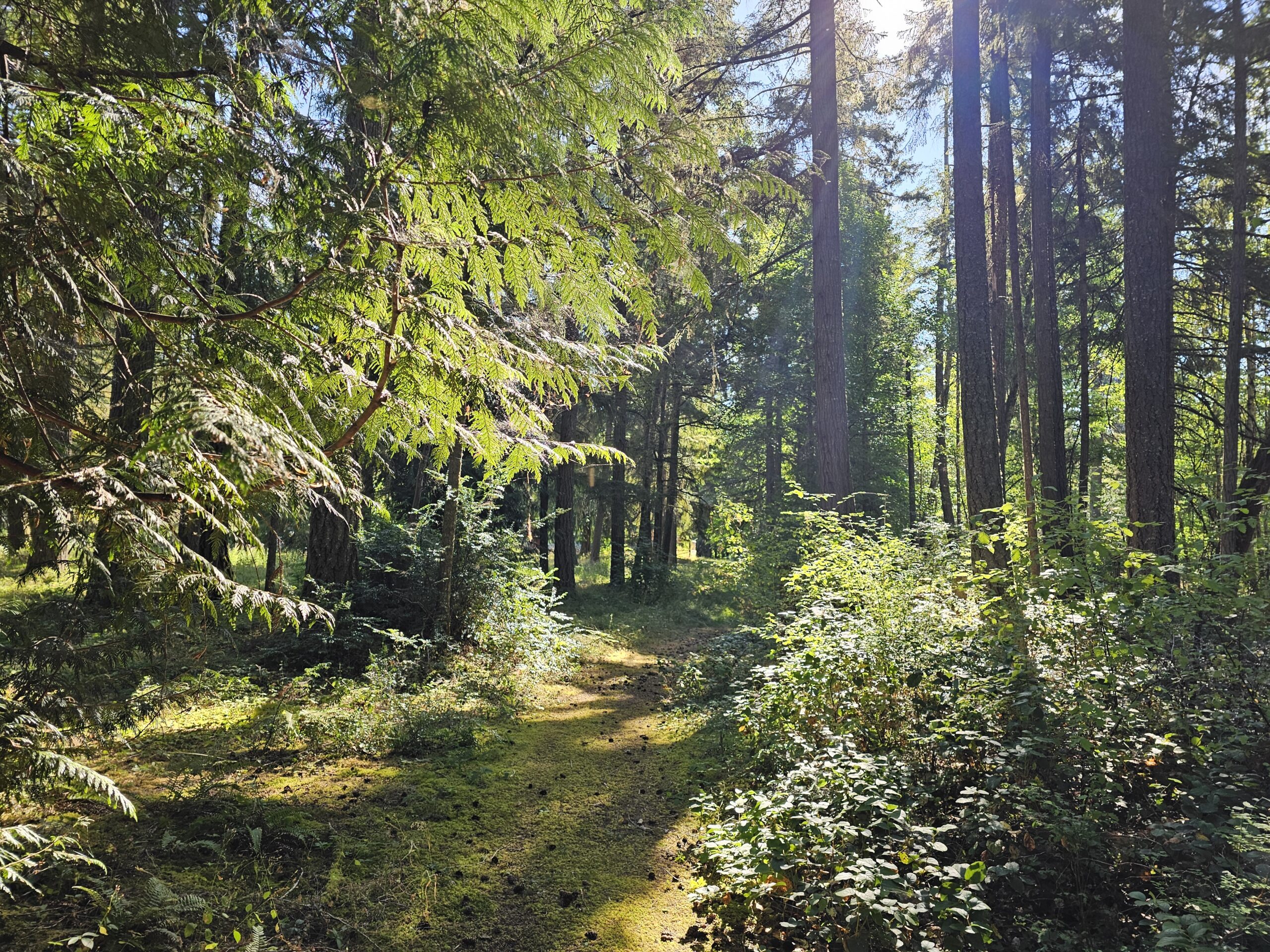 Stephanie Mikulasek leading immersive leadership experience on trail